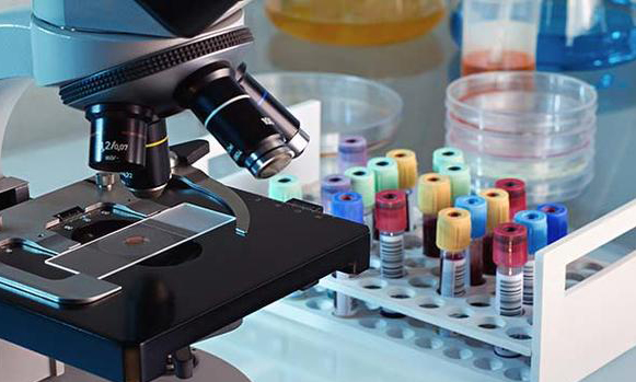 HB-ELECTROPHORESIS (HPLC)